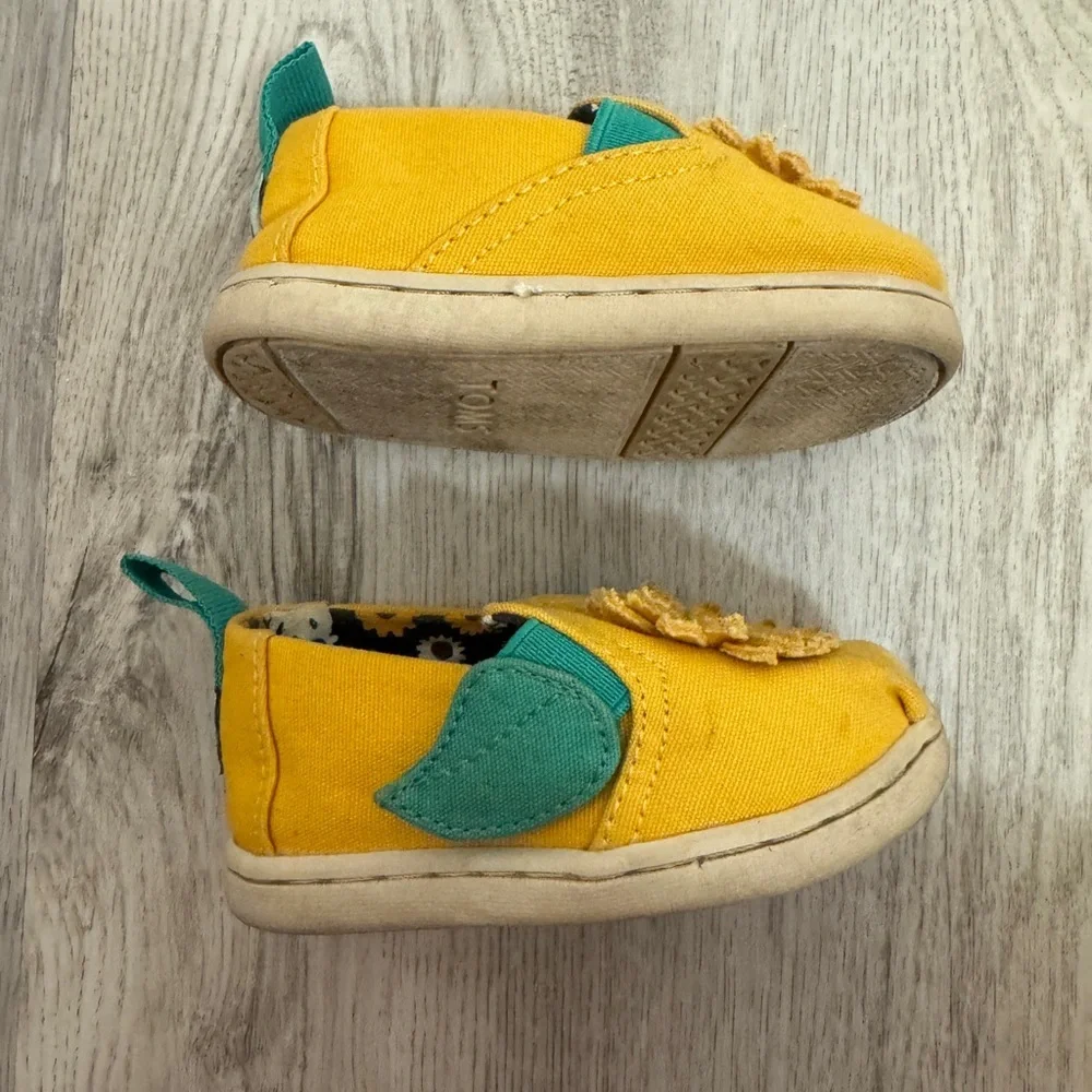 Toms brighten up